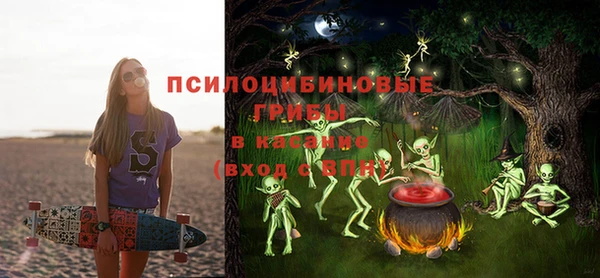a pvp Абаза